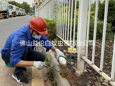 南海沙頭鎮(zhèn)街道防治紅火蟻