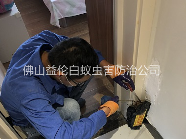 里水住宅白蟻防治工程